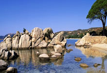 MK SPORTS- 足球冰山社恐型门将笔趣阁 